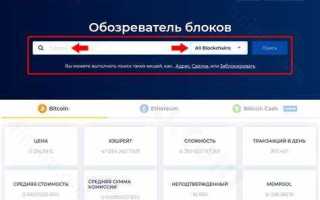 Как проверить баланс криптокошелька python