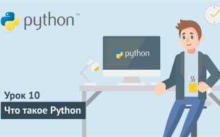 Python для начинающих что это