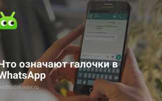 Что означают галочки в whatsapp