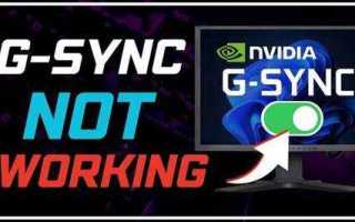 G sync как включить нет в настройках