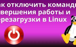 Linux как остановить программу в терминале