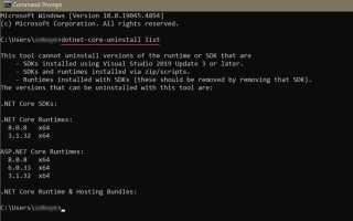Net core runtime что это