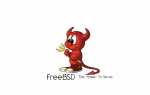 Freebsd как посмотреть диски