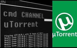 Как включить шифрование в utorrent