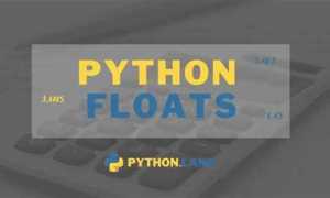 Float python что это