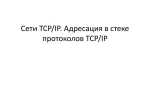 В чем разница назначения протоколов tcp и ip
