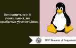 Где в linux wiki mini данные программы