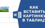 Как вставить в таблицу картинку