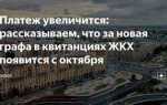 Hq nic что за платеж