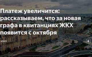 Hq nic что за платеж