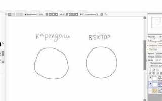 Как очистить вектор с