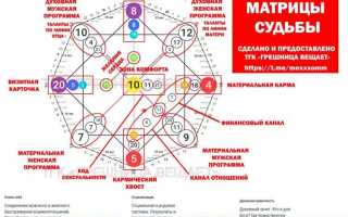 Vdhcoapp что это за программа