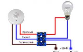 Как отличить камеру от датчика движения