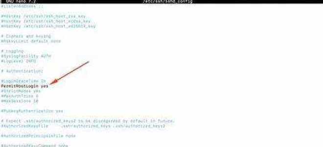Как войти в root debian
