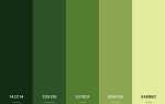 Com android theme color green что это