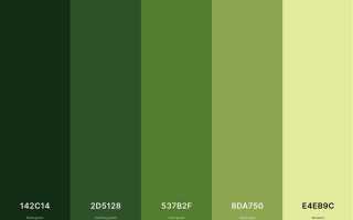 Com android theme color green что это