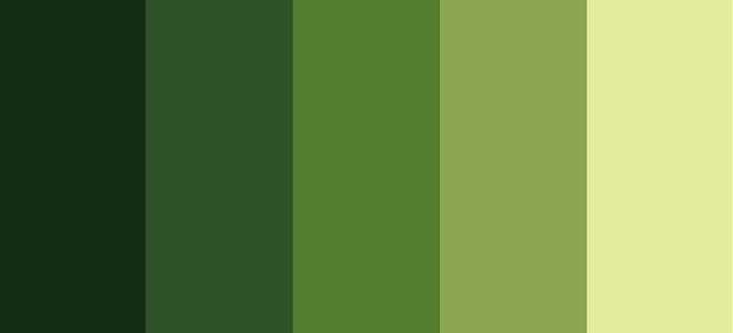 Com android theme color green что это