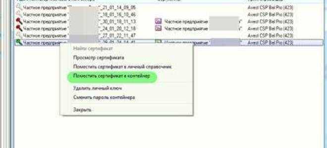 Как поместить в контейнер в кореле