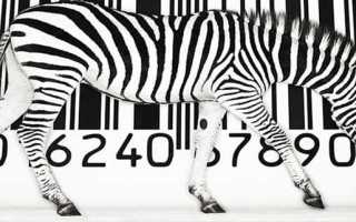 Как проверить вещь на оригинальность по коду guess