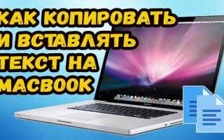 Как скопировать текст на макбуке