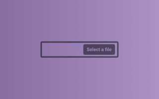 Как вставить картинку в input css