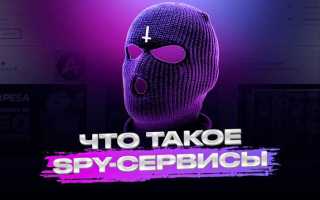 Spy protector что это за программа