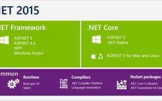 Sr net core engineer что это