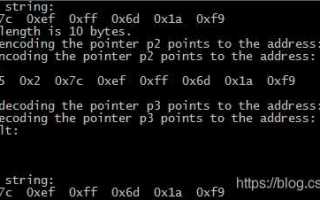 Octet string что это