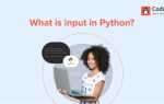 Input python что это