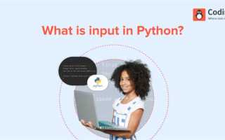 Input python что это
