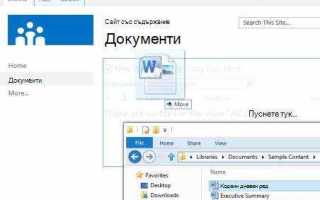 Msfree inc что это за папка