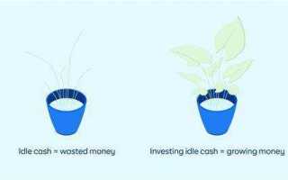 Idle cash что это