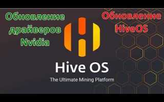 Как откатить драйвер nvidia hiveos