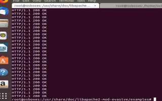 Hexdump в c что это