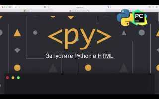 Как встроить python в html