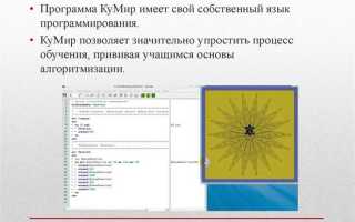Что вы знаете о переменных в среде программирования кумир