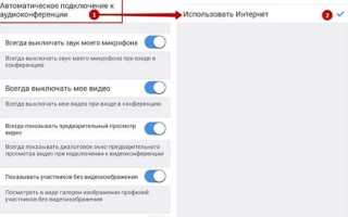 Как настроить звук в зуме
