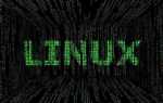 Что такое void в программировании