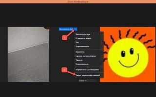 Как подключить 2 камеры в zoom