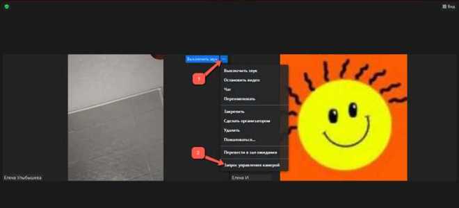 Как подключить 2 камеры в zoom