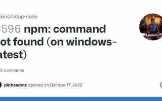 Bash npm command not found что делать