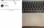 Как в ватсап добавить несколько статусов одновременно