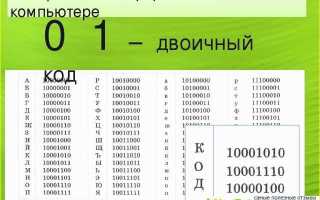 Как посмотреть двоичный код файла