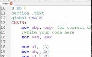 Как установить sasm на ubuntu