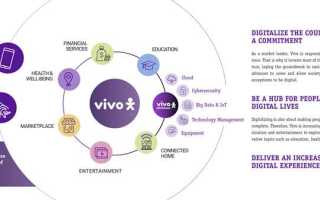Vimicro corporation что это за программа