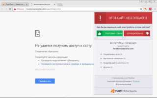 Avast free antivirus что это за программа
