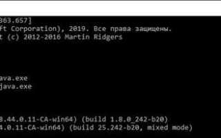Как узнать путь к java
