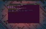 Как запустить скомпилированный файл linux