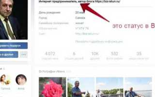 Как поставить статус в вк