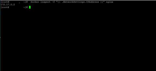 Docker как узнать ip адрес контейнера